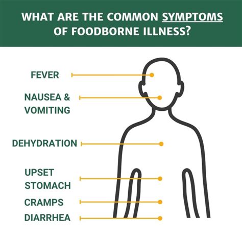 What Is A Foodborne Illness Definition And Examples Vrogue Co