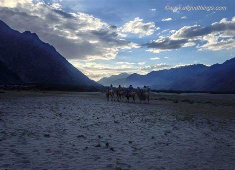 Nubra Valley Leh Ladakh Road Trip From Delhi Golden Meadow Spiti