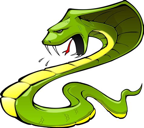 Viper Snake Head Clip Art Cliparts
