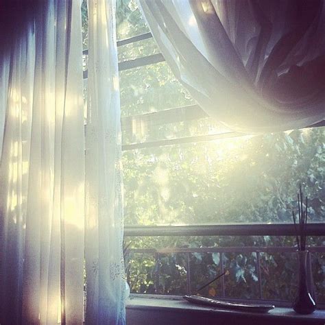 The Light Through My Window Through The Window Morning Light Sunlight