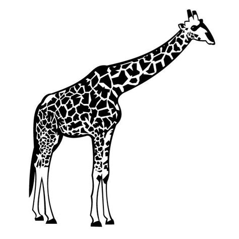 Download Royalty Free Stock Svg Vectors Clip Art And Icons Giraffe