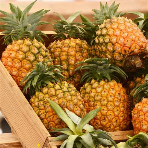 How To Tell If A Pineapple Is Ripe 3 Simple Ways Home Cook Basics