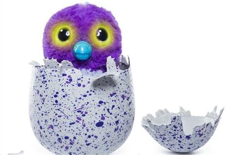 Hatchimals Are Back And This Is Where You Can Get Them In