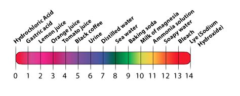 What is the ph of the final solution? Acids, Bases, and the pH Scale (Interactive Tutorial ...