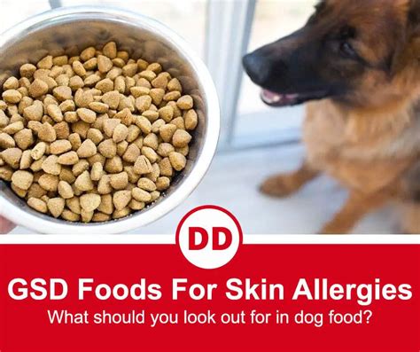 Top 5 Best Dog Foods For German Shepherds With Skin Allergies 2022
