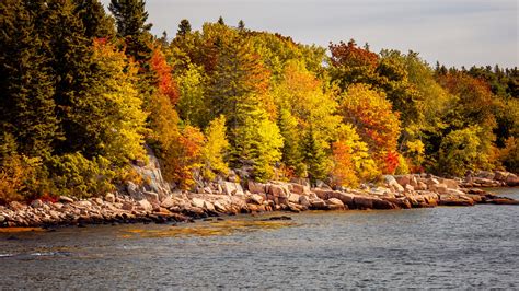 Forest And River In Fall Free Stock Photo Public Domain Pictures