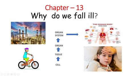 Ncert Class 9 Chapter 13 Why Do We Fall Ill Youtube