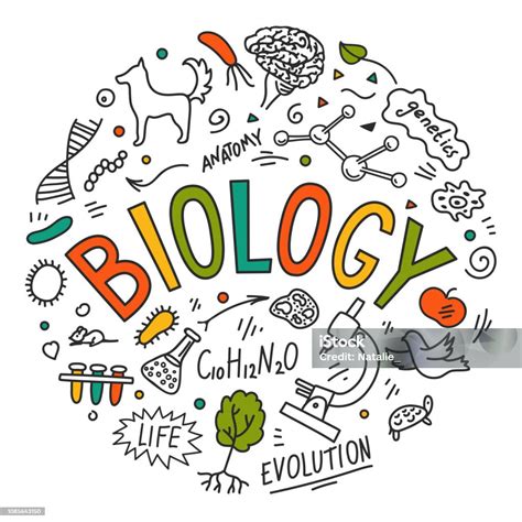 Biology Hand Drawn Doodles With Lettering Stock Illustration Download