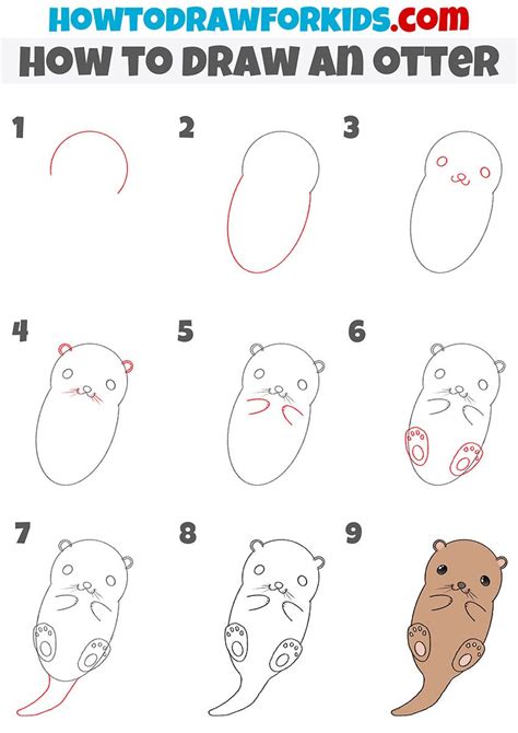 How to Draw an Otter | Drawing tutorials for kids, Easy drawings, Cute