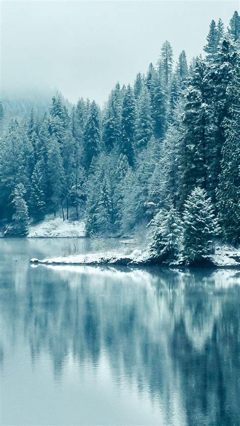 Free Download Turquoise Pine Forest Lake Snow In 2020 Winter Wallpaper