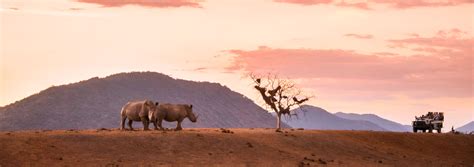 South Africa Safaris South Africa Safari Holidays Exodus