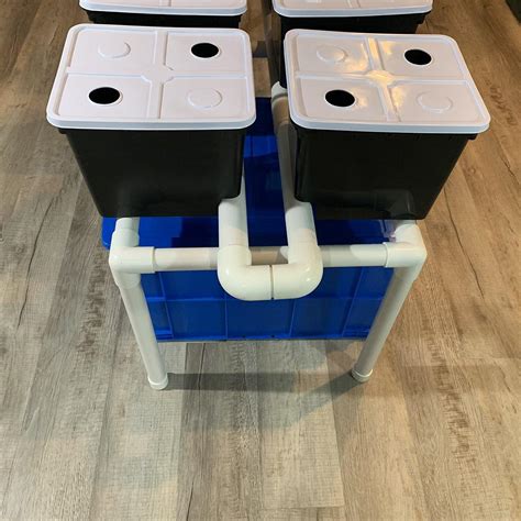 Hydroponic Dutch Bucket System 8 X 11 Liter Black Buckets Complete