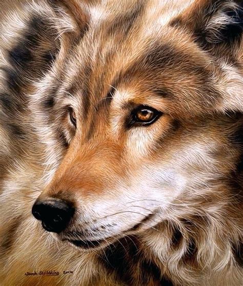 Wolf Oil Painting At Explore Collection Of Wolf
