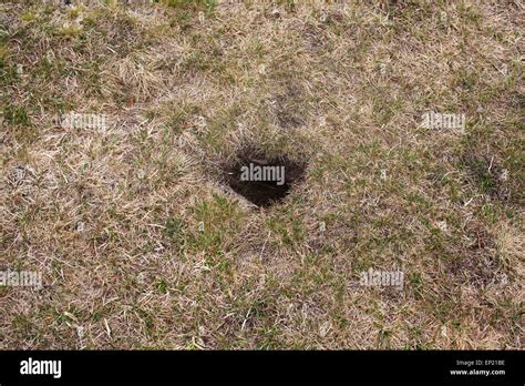Hole In A Grass Field Stock Photo Alamy