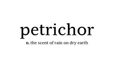 Petrichor With Images Words Cool Words Love Words