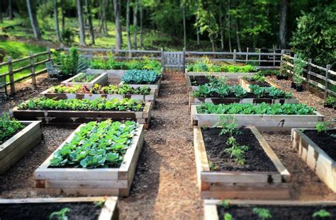 I thought i would put together a 4×8 raised bed vegetable garden layout to show how much can be deciding what to plant in a small vegetable garden layout. Raised Bed Garden Layout - Outdoor Decor Ideas