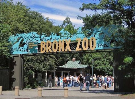 Bronx Zoo The Largest Zoo In The Usa That You Must Visit