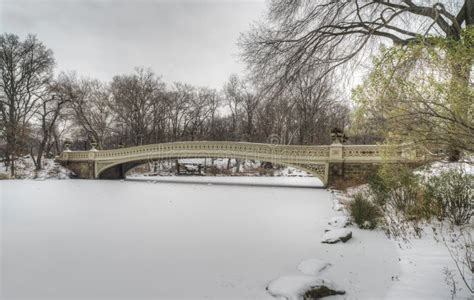 Central Park New York Durante La Tempesta Della Neve Immagine Stock