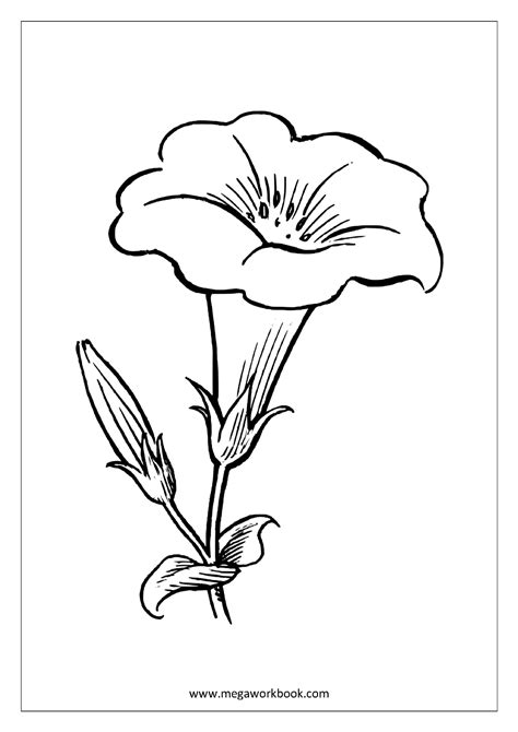 Coloring Pictures Of Flowers And Trees Best Flower Site