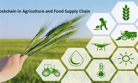 Blockchain In Agriculture And Food Supply Chain Market 2021 28