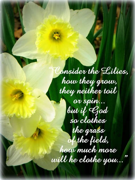 Consider the lilies | Consider the lilies, Words, Me quotes