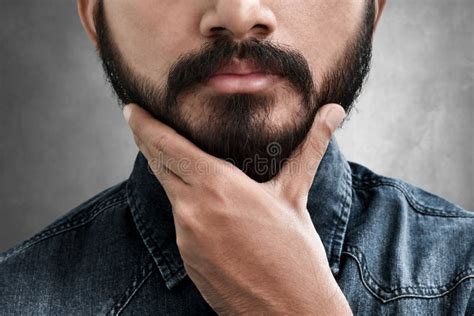 Bearded Man Touching His Beard Stock Image Image Of Attractive