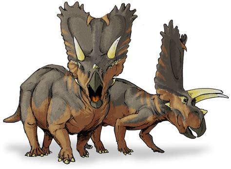 Interesting Information And Facts About Ceratopians Ceratopsians Hubpages