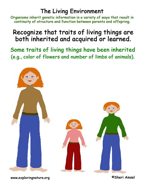 Living Environment Inherited Traits