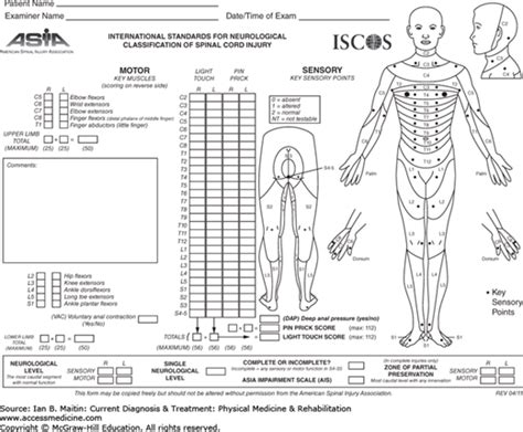Spinal Cord Injury Musculoskeletal Key