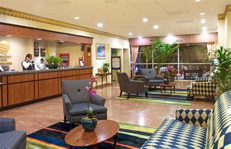 The beds and pillows are super comfortable! Comfort Inn by the Bay San Francisco Hotel Review
