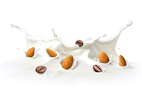 Nuts Splash Png : Splash png collections download alot of images for splash download free with ...