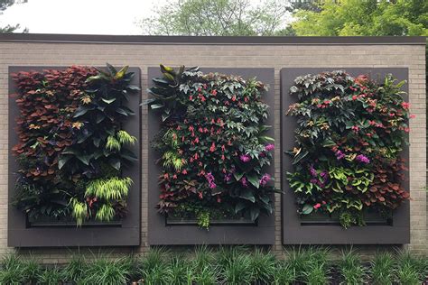 Chicago Area Residential Outdoor Living Wall Trio Livewall Green Wall