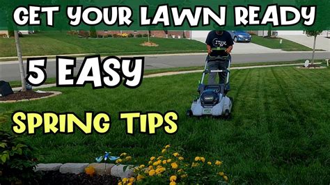 5 Spring Lawn Tips Lawn Revival Made Easy Youtube