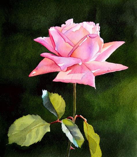 Pink Rose Original Watercolor Painting Floral Painting Pink