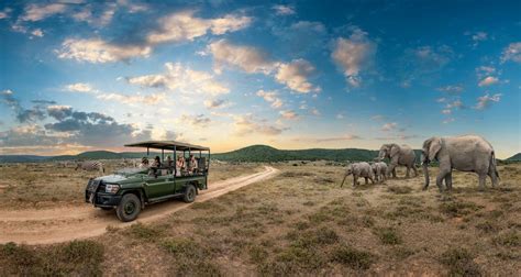 Kruger National Park Safari From Kruger Mpumalanga International