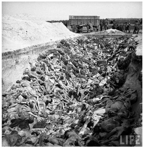 Immagini giorno della memoria per non dimenticare il 27 gennaio 1945: campo di concentramento di auschwitz - il blog di Carlo