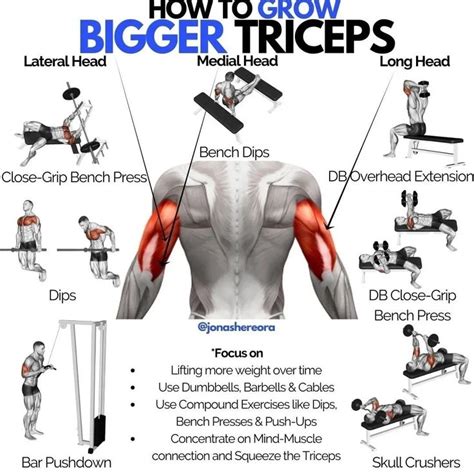 Simple Ways To Grow Your Triceps Faster Muscle Fitness Bicep And Tricep Workout Biceps