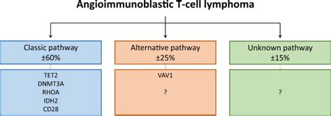 Angioimmunoblastic t‐cell lymphoma (aitl) is a neoplastic proliferation of t follicular helper cells with clinical and histological presentations suggesting a role of antigenic drive in its development. Mutational heterogeneity of angioimmunoblastic T-cell ...