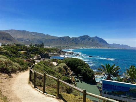 10 Best Things To Do In Hermanus South Africa Adventures