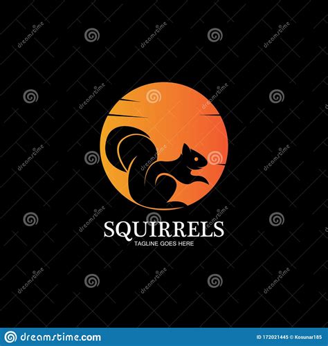 Creative Squirrel Animal Logo Design Icon Symbol Illustration Vector