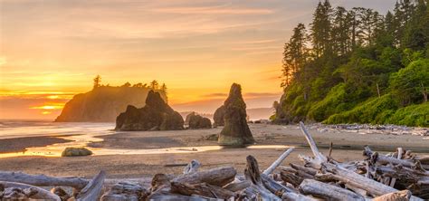 Olympic National Park Wa By Rail Amtrak Vacations