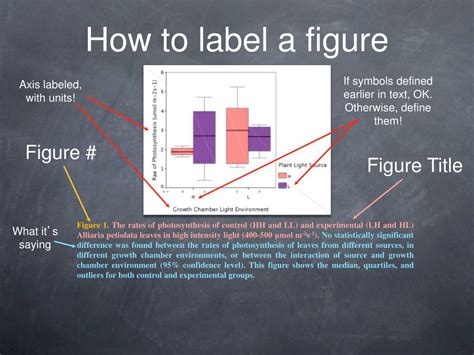 Ppt How To Label A Figure Powerpoint Presentation Free Download Id