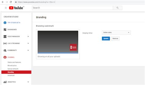 How To Add A Watermark Of Brand In Youtube Videos Cyber Planet