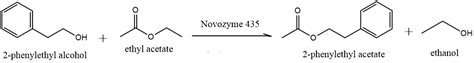 Synthesis Of Ethyl Acetate Equation