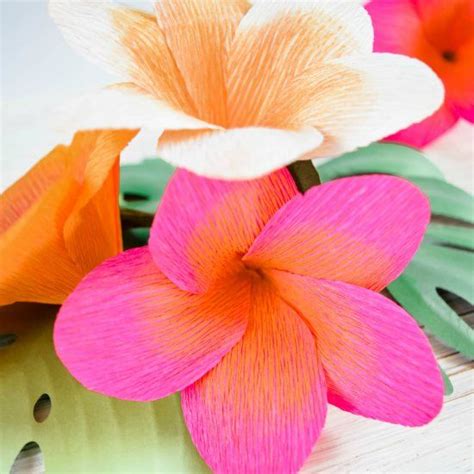 Diy Crepe Paper Plumeria Flowers Paper Flowers Hawaiian Paper