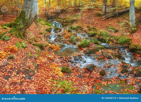Rapid Mountain River In Autumn Stock Image Image Of Bridge