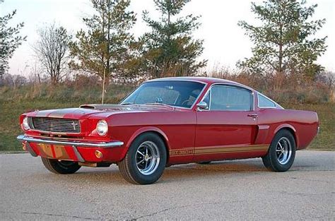 1966 Shelby Mustang Gt350 H Mustang Ultimate In Depth Guide