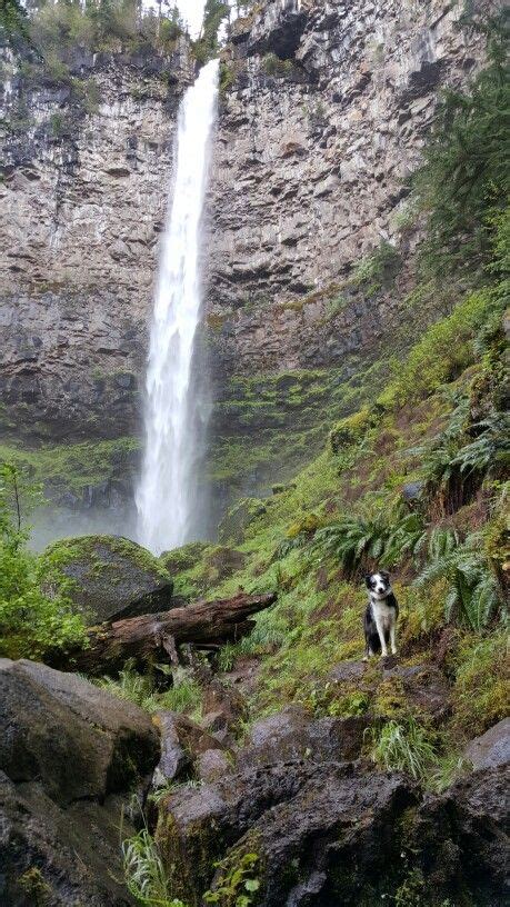 Watson Falls Is The Third Tallest Waterfall In Oregon Take A Day And