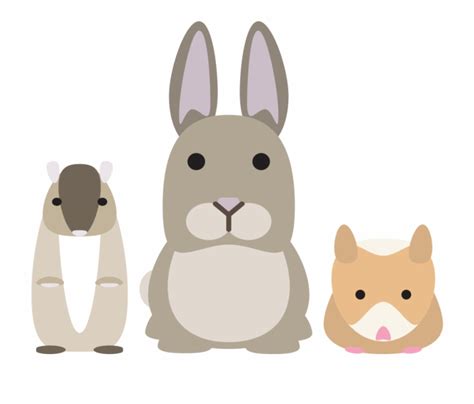 Small Animal Products Small Animal Clip Art Transparent Png