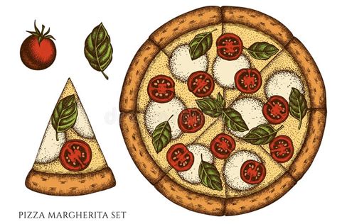 Pizza Hand Drawn Vector Illustrations Collection Colored Pizza